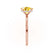 PARIS - Elongated Cushion Yellow Sapphire & Diamond 18k Rose Gold Petite Hidden Halo