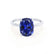 PARIS - Elongated Cushion Blue Sapphire & Diamond 950 Platinum Petite Hidden Halo