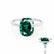 PARIS - Elongated Cushion Emerald & Diamond 950 Platinum Petite Hidden Halo