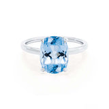 PARIS - Chatham® Elongated Cushion Aqua Spinel & Diamond 18k White Gold Petite Hidden Halo