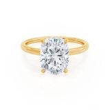 PARIS - Elongated Cushion Natural Diamond 18k Yellow Gold Hidden Halo Engagement Ring Lily Arkwright