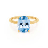 PARIS - Chatham® Elongated Cushion Aqua Spinel & Diamond 18k Yellow Gold Petite Hidden Halo