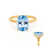PARIS - Chatham® Elongated Cushion Aqua Spinel & Diamond 18k Yellow Gold Petite Hidden Halo