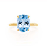 PARIS - Chatham® Elongated Cushion Aqua Spinel & Diamond 18k Yellow Gold Petite Hidden Halo