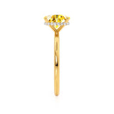 PARIS - Chatham® Elongated Cushion Yellow Sapphire & Diamond 18k Yellow Gold Petite Hidden Halo