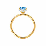 PARIS - Chatham® Elongated Cushion Aqua Spinel & Diamond 18k Yellow Gold Petite Hidden Halo