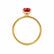 PARIS - Elongated Cushion Ruby & Diamond 18k Yellow Gold Petite Hidden Halo