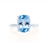 PARIS - Chatham® Elongated Cushion Aqua Spinel & Diamond 18k White Gold Petite Hidden Halo