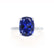 PARIS - Elongated Cushion Blue Sapphire & Diamond 950 Platinum Petite Hidden Halo