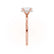 PARIS - Oval natural Diamond 18k Rose Gold Hidden Halo Engagement Ring Lily Arkwright