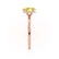 PARIS - Oval Yellow Sapphire & Diamond 18k Rose Gold Petite Hidden Halo
