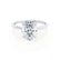 PARIS - Oval natural Diamond Platinum Hidden Halo Engagement Ring Lily Arkwright
