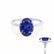 PARIS - Oval Blue Sapphire & Diamond 950 Platinum Petite Hidden Halo