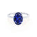 PARIS - Oval Blue Sapphire & Diamond 950 Platinum Petite Hidden Halo