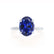 PARIS - Oval Blue Sapphire & Diamond 950 Platinum Petite Hidden Halo