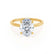 PARIS - Oval natural Diamond 18k Yellow Gold Hidden Halo Engagement Ring Lily Arkwright