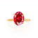 PARIS - Oval Ruby & Diamond 18k Yellow Gold Petite Hidden Halo