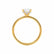 PARIS - Oval natural Diamond 18k Yellow Gold Hidden Halo Engagement Ring Lily Arkwright