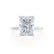 PARIS - Radiant Natural Diamond 18k White Gold Hidden Halo Solitaire Engagement Ring Lily Arkwright