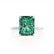 PARIS - Radiant Emerald & Diamond 950 Platinum Petite Hidden Halo