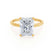 PARIS - Radiant Natural Diamond 18k Yellow Gold Hidden Halo Solitaire Engagement Ring Lily Arkwright