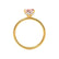 PARIS - Radiant Champagne Sapphire & Diamond 18k Yellow Gold Petite Hidden Halo