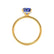 PARIS - Radiant Blue Sapphire & Diamond 18k Yellow Gold Petite Hidden Halo