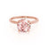 PARIS - Round Champagne Sapphire & Diamond 18k Rose Gold Petite Hidden Halo