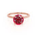 PARIS - Round Ruby & Diamond 18k Rose Gold Petite Hidden Halo