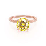 PARIS - Chatham® Round Yellow Sapphire & Diamond 18k Rose Gold Petite Hidden Halo