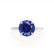 PARIS - Round Blue Sapphire & Diamond 950 Platinum Petite Hidden Halo