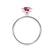 PARIS - Round Ruby & Diamond 950 Platinum Petite Hidden Halo