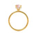 PARIS - Round Champagne Sapphire & Diamond 18k Yellow Gold Petite Hidden Halo