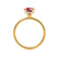 PARIS - Round Ruby & Diamond 18k Yellow Gold Petite Hidden Halo