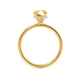 PARIS - Chatham® Round Yellow Sapphire & Diamond 18k Yellow Gold Petite Hidden Halo