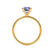PARIS - Round Blue Sapphire & Diamond 18k Yellow Gold Petite Hidden Halo