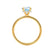 PARIS - Round Aqua Spinel & Diamond 18k Yellow Gold Petite Hidden Halo