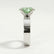 REGENT - Oval Green Lab Diamond 18k White Gold Solitaire