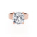 Regent Square Cushion Cut Lab Diamond 18k Rose Gold Cigar Band Wide Engagement Ring Lily Arkwright Front View