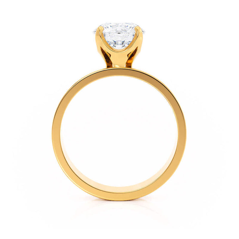 Regent Square Cushion Cut Lab Diamond 18k Yellow Gold Cigar Band Wide Engagement Ring Lily Arkwright Side Profile View 