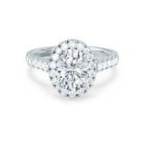 ROSA - Oval Moissanite & Diamond 950 Platinum Halo Ring Engagement Ring Lily Arkwright