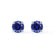 SENA - Round Blue Sapphire 950 Platinum Stud Earrings Earrings Lily Arkwright