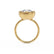 ZELLA - Elongated Cushion Lab Diamond East West Button Back Engagement Ring Inspired by Zendaya