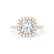 BLUSH - Round Lab Diamond 18k Rose Gold Petite Halo Ring Engagement Ring Lily Arkwright