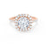 BLUSH - Round Moissanite & Diamond 18k Rose Gold Petite Halo Ring Engagement Ring Lily Arkwright
