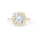 BLUSH - Outlet 1.50ct Round Moissanite & Diamond 18k Yellow Gold Petite Halo Ring Engagement Ring Lily Arkwright