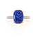 COCO - Elongated Cushion Cut Blue Sapphire 18k Rose Gold Petite Hidden Halo Triple Pavé Engagement Ring Lily Arkwright