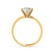 JULIET - Round Moissanite 18k Yellow Gold Solitaire Ring Engagement Ring Lily Arkwright