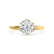 JULIET - Round Moissanite 18k Yellow Gold Solitaire Ring Engagement Ring Lily Arkwright