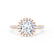 LAVENDER - Round Moissanite & Diamond 18k Rose Gold Petite Halo Ring Engagement Ring Lily Arkwright
